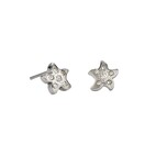 Starfish Ohrring